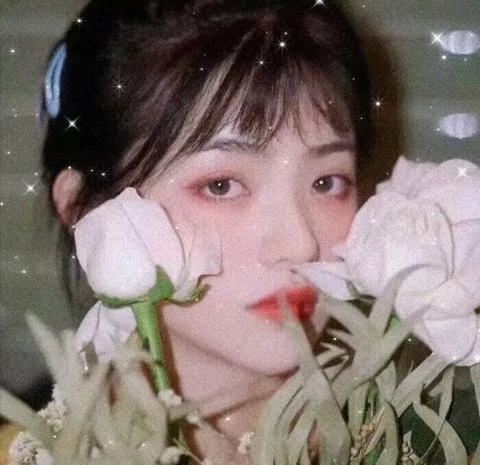 乳牙2019